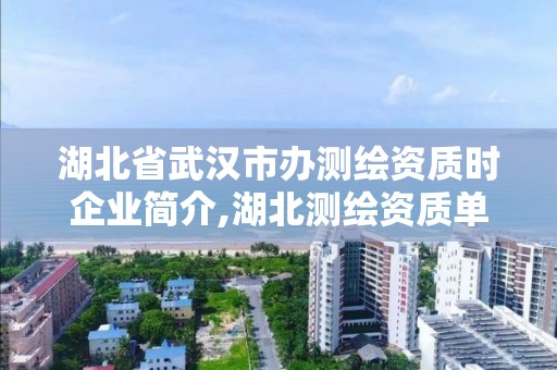 湖北省武汉市办测绘资质时企业简介,湖北测绘资质单位。