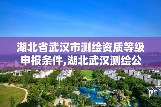 湖北省武汉市测绘资质等级申报条件,湖北武汉测绘公司排行榜。