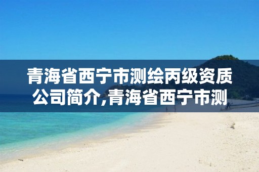 青海省西宁市测绘丙级资质公司简介,青海省西宁市测绘丙级资质公司简介电话。