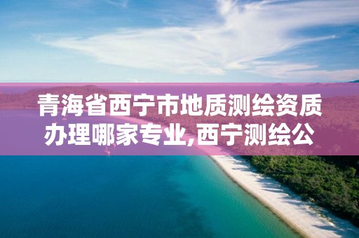 青海省西宁市地质测绘资质办理哪家专业,西宁测绘公司有哪些。