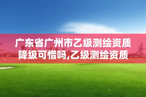 广东省广州市乙级测绘资质降级可惜吗,乙级测绘资质业绩要求。