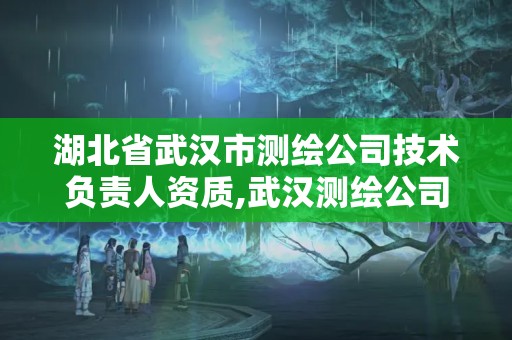 湖北省武汉市测绘公司技术负责人资质,武汉测绘公司招聘。