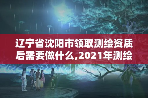 辽宁省沈阳市领取测绘资质后需要做什么,2021年测绘资质办理。