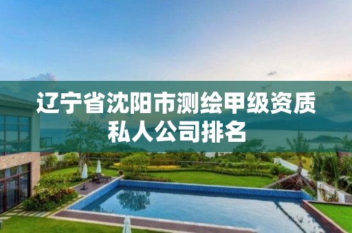 辽宁省沈阳市测绘甲级资质私人公司排名