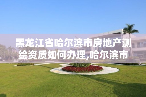 黑龙江省哈尔滨市房地产测绘资质如何办理,哈尔滨市测绘局家属楼。