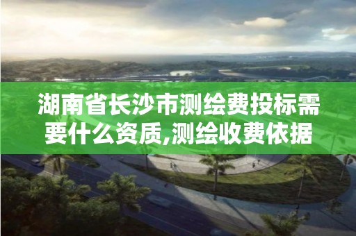 湖南省长沙市测绘费投标需要什么资质,测绘收费依据。