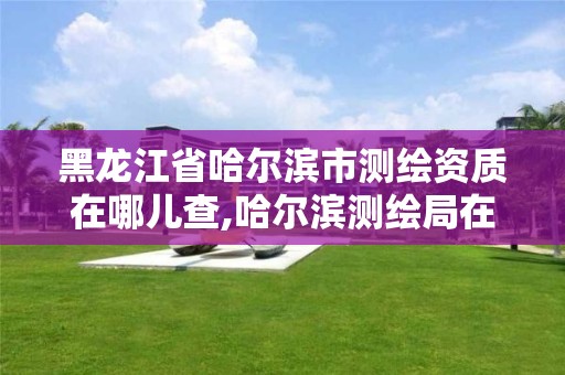 黑龙江省哈尔滨市测绘资质在哪儿查,哈尔滨测绘局在哪。