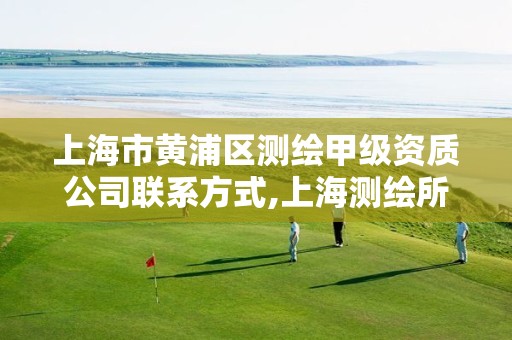 上海市黄浦区测绘甲级资质公司联系方式,上海测绘所。