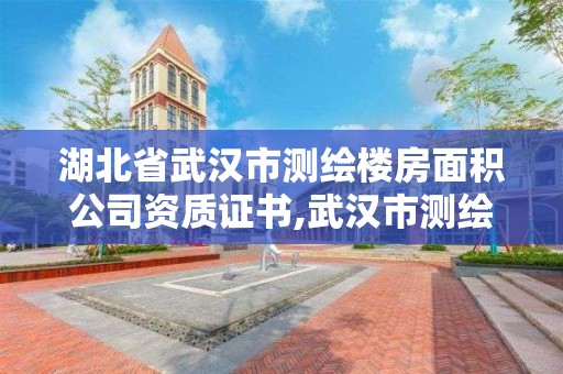 湖北省武汉市测绘楼房面积公司资质证书,武汉市测绘工程技术规定。