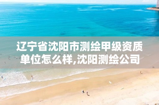 辽宁省沈阳市测绘甲级资质单位怎么样,沈阳测绘公司哪家强哪家好。