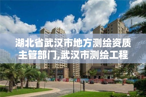 湖北省武汉市地方测绘资质主管部门,武汉市测绘工程技术规定。