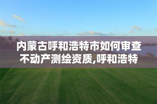 内蒙古呼和浩特市如何审查不动产测绘资质,呼和浩特标准房产测绘所。