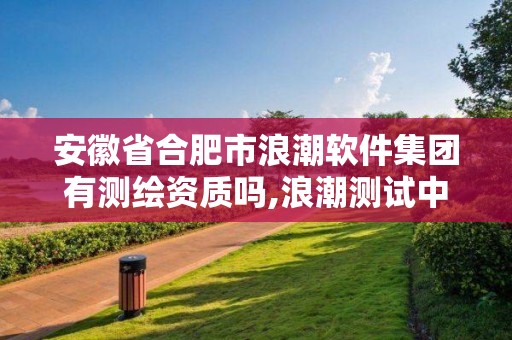 安徽省合肥市浪潮软件集团有测绘资质吗,浪潮测试中心是哪个公司。