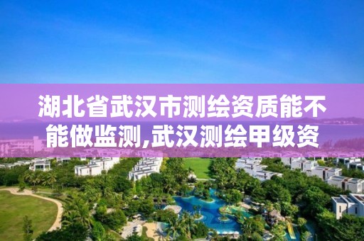 湖北省武汉市测绘资质能不能做监测,武汉测绘甲级资质公司。