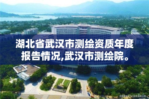 湖北省武汉市测绘资质年度报告情况,武汉市测绘院。