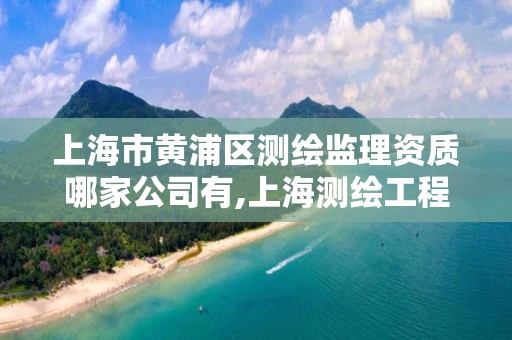 上海市黄浦区测绘监理资质哪家公司有,上海测绘工程师。