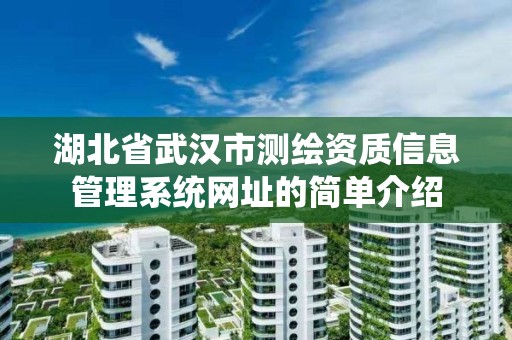 湖北省武汉市测绘资质信息管理系统网址的简单介绍