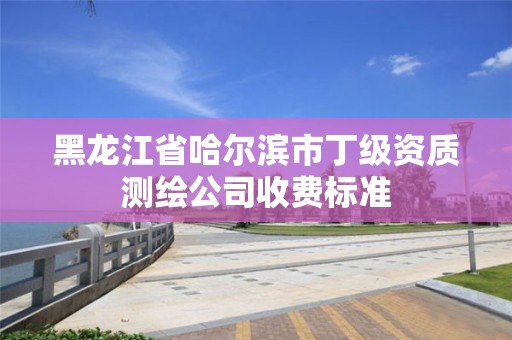 黑龙江省哈尔滨市丁级资质测绘公司收费标准