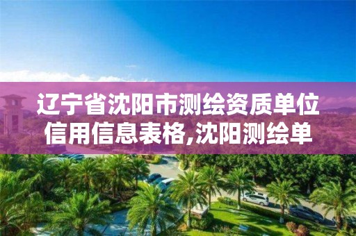 辽宁省沈阳市测绘资质单位信用信息表格,沈阳测绘单位排名。