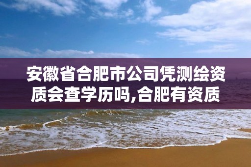 安徽省合肥市公司凭测绘资质会查学历吗,合肥有资质的测绘公司。