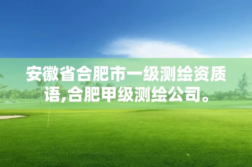 安徽省合肥市一级测绘资质语,合肥甲级测绘公司。