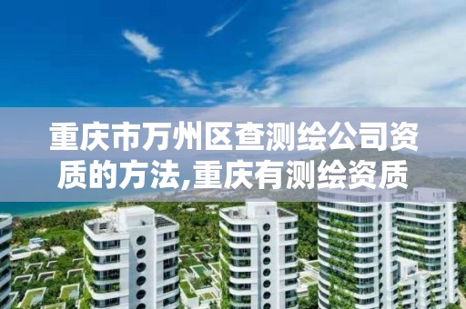 重庆市万州区查测绘公司资质的方法,重庆有测绘资质测绘公司大全。