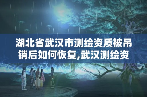 湖北省武汉市测绘资质被吊销后如何恢复,武汉测绘资质代办。