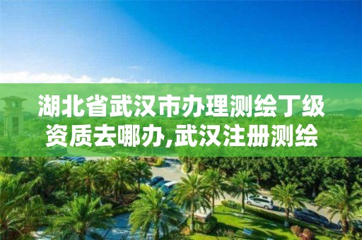 湖北省武汉市办理测绘丁级资质去哪办,武汉注册测绘师。