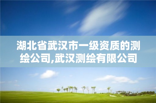 湖北省武汉市一级资质的测绘公司,武汉测绘有限公司。