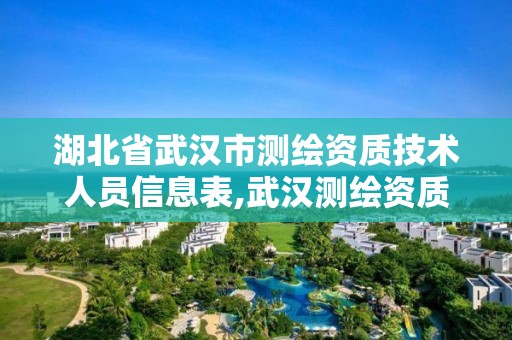 湖北省武汉市测绘资质技术人员信息表,武汉测绘资质代办。