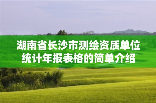 湖南省长沙市测绘资质单位统计年报表格的简单介绍