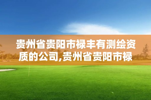 贵州省贵阳市禄丰有测绘资质的公司,贵州省贵阳市禄丰有测绘资质的公司有哪些。