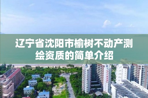 辽宁省沈阳市榆树不动产测绘资质的简单介绍