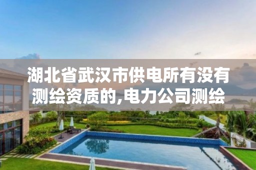 湖北省武汉市供电所有没有测绘资质的,电力公司测绘辛苦吗。