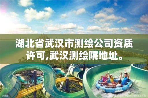 湖北省武汉市测绘公司资质许可,武汉测绘院地址。