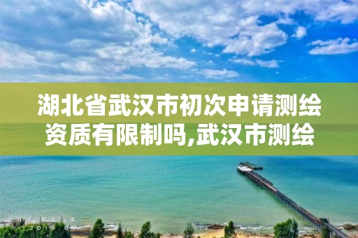 湖北省武汉市初次申请测绘资质有限制吗,武汉市测绘院怎么样。