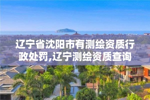 辽宁省沈阳市有测绘资质行政处罚,辽宁测绘资质查询。