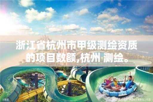 浙江省杭州市甲级测绘资质的项目数额,杭州 测绘。