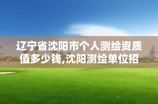 辽宁省沈阳市个人测绘资质值多少钱,沈阳测绘单位招聘。