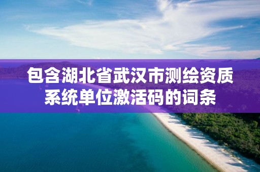 包含湖北省武汉市测绘资质系统单位激活码的词条