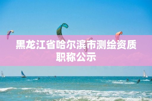 黑龙江省哈尔滨市测绘资质职称公示