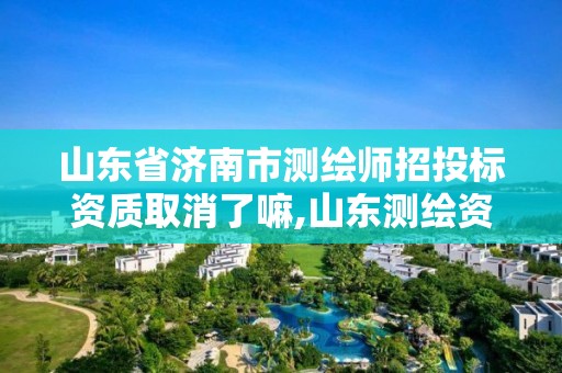 山东省济南市测绘师招投标资质取消了嘛,山东测绘资质代理。