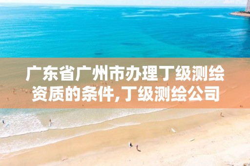 广东省广州市办理丁级测绘资质的条件,丁级测绘公司注册条件。