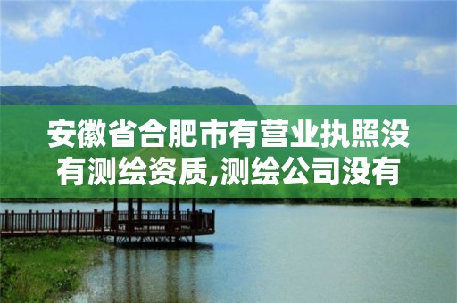 安徽省合肥市有营业执照没有测绘资质,测绘公司没有资质可以开发票吗。