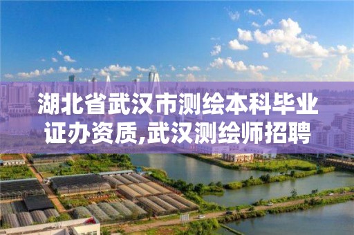 湖北省武汉市测绘本科毕业证办资质,武汉测绘师招聘。