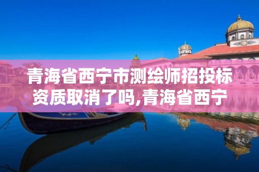 青海省西宁市测绘师招投标资质取消了吗,青海省西宁市测绘师招投标资质取消了吗。