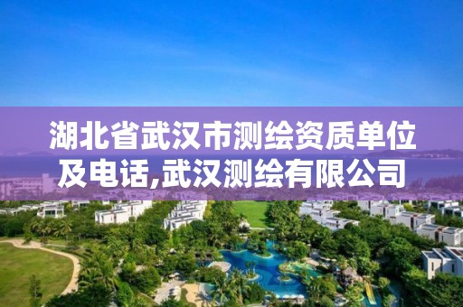 湖北省武汉市测绘资质单位及电话,武汉测绘有限公司。