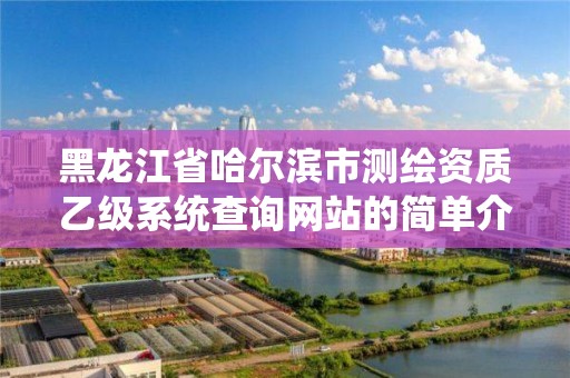 黑龙江省哈尔滨市测绘资质乙级系统查询网站的简单介绍