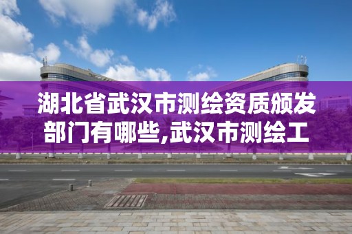 湖北省武汉市测绘资质颁发部门有哪些,武汉市测绘工程技术规定。