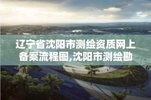 辽宁省沈阳市测绘资质网上备案流程图,沈阳市测绘勘察研究院。